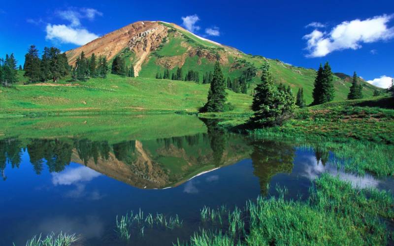 太好赔：理赔从未如此简单，安心守护每一份信任